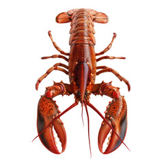 Photo of lobster isolated on transparent background