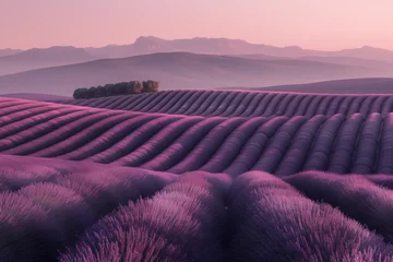 Gartenposter Misty lavender hills. Surreal landscape. Background image. Created with Generative AI technology. © Artem