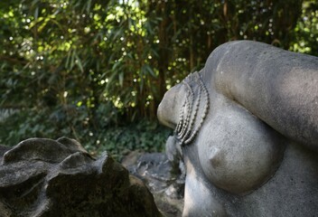 Fototapeta na wymiar asian garden in Vincennes park