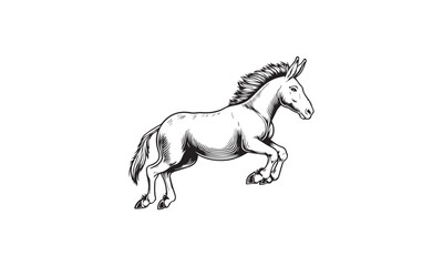 Horse, horse design, horse logo design, horse logo, 