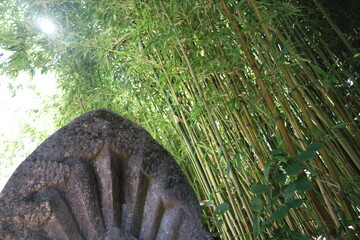 asian  garden in Vincennes park