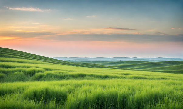Minimalist Summer Landscape