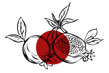set of hand drawn pomegranate fruits
