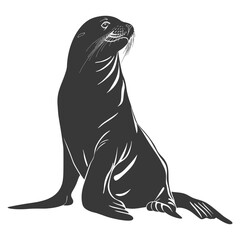 Silhouette Sea Lion Animal black color only full body