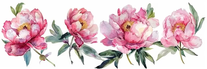 Fototapeten Pink Peonies Watercolor Collection on White Background Generative AI © AlexandraRooss