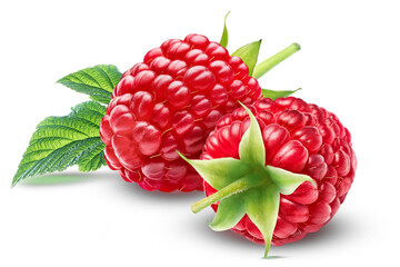 Two juicy raspberries with a leaf isolated on a white background.