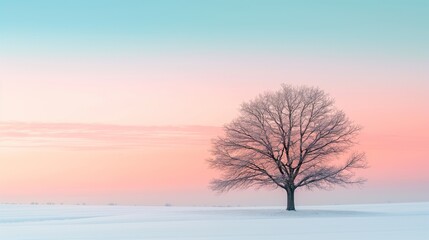A clean and crisp HD capture of a solitary tree against a pastel sky, offering a minimalist and calming background mockup.