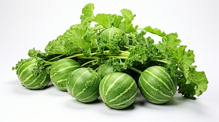 illustration of a watermelon plant ready to harvest on a white background with the sun