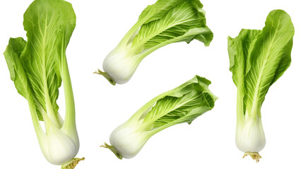 Bok Choy Collection: Fresh Asian Leafy Greens for Culinary Delights, Isolated on Transparent Background - Perfect for Farm-to-Table Concepts and Nutritious Recipes
