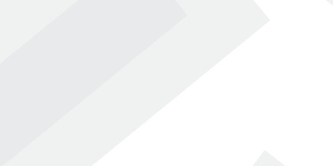 Abstract GREY white Geometric vector design background.	
