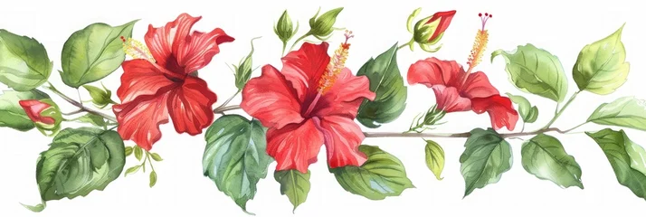 Fotobehang Tropical Paradise: Hand-Painted Hibiscus Flower Illustration Generative AI © AlexandraRooss
