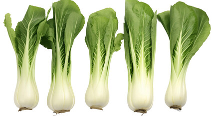 Bok Choy Collection: Fresh Asian Leafy Greens for Culinary Delights, Isolated on Transparent Background - Perfect for Farm-to-Table Concepts and Nutritious Recipes - obrazy, fototapety, plakaty
