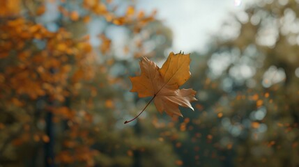 A close-up of a maple leaf mid-fall, suspended in the air with a backdrop of blurred autumn trees, frozen in time.