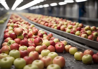Fotobehang Clean and fresh gala apples on a conveyor belt in a fruit packaging warehouse for presize © Ada