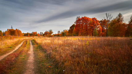 Autumn rural road among the field in the cloudy day.