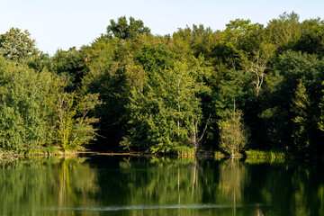 Aussicht am Opfingersee