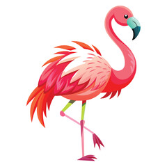 Illustration of flamingo