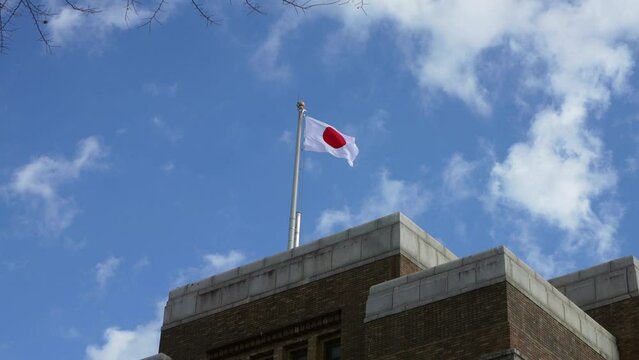 The Japanese flag waving in the sky
