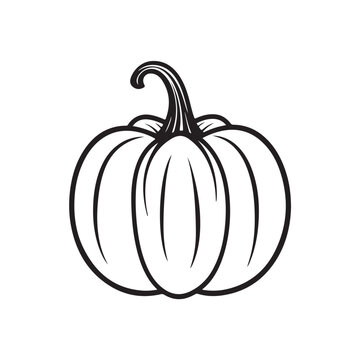 pumpkin outline vector illustration on white background