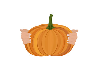 Pumpkin on a white background.