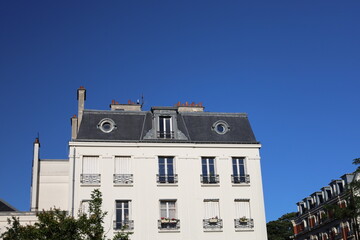 real estate in Paris , Haussmanian building - obrazy, fototapety, plakaty
