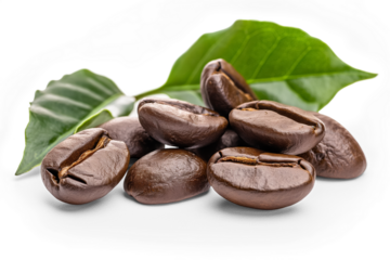 Few roasted coffee beans and green leaves near. Macro detail isolated on transparent background. Generative AI