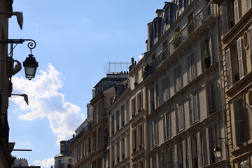 real estate in Paris , Haussmanian building - obrazy, fototapety, plakaty