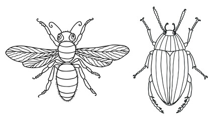 Beetle and fly insects cartoon decorative outlines vector,isolated on white  - 750847035
