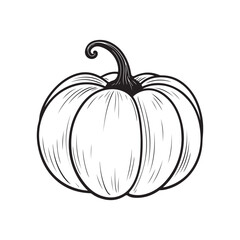 pumpkin outline vector illustration. coloring page on white background