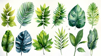 Set of Watercolor Tropical spring green leaves