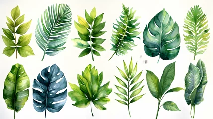 Fotobehang Set of Watercolor Tropical spring green leaves © Lumina