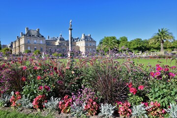 Fototapeta premium Luxembourg's Gardens in paris , famous park ifull of statues and flowerbeds
