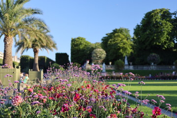 Luxembourg's gardens  , flowerbeds and statues
