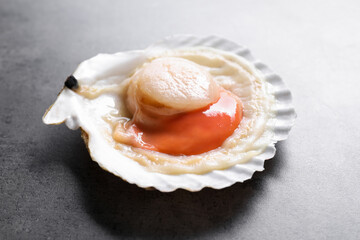 Fresh raw scallop in shell on grey table, closeup