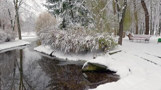 Meadows and trees covered by frsh snow on the shore of Seret river in Topilche park, Ternopil town, Ukraine, Europe. Snowy winter scene of city park. 4K video (Ultra High Definition).