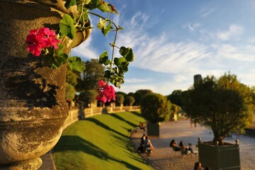 Fototapete bei efototapeten.de bestellen   