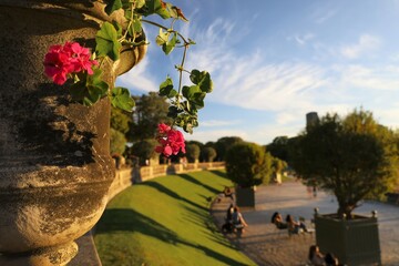 Fototapete bei efototapeten.de bestellen   