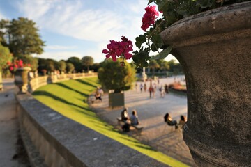 Fototapete bei efototapeten.de bestellen   