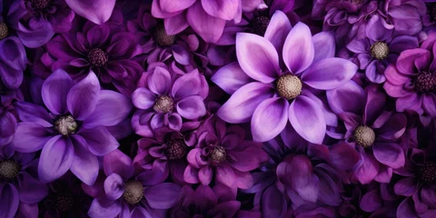 Rollo  Beautiful collage background of purple flowers © Creative Canvas