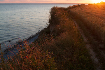 Steilufer Weg bei Dänisch Nienhof an der Ostsee bei Sonnenuntergang