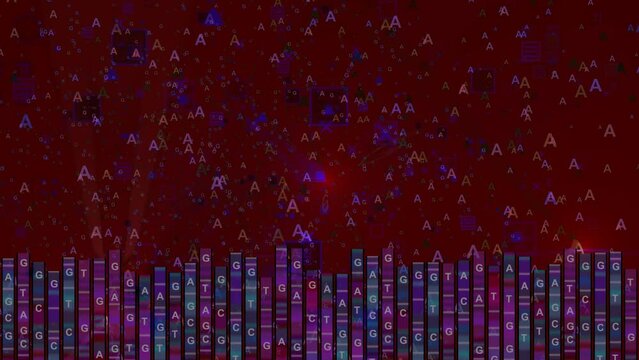 Human genome DNA analysis - visualization of a genome map sequence