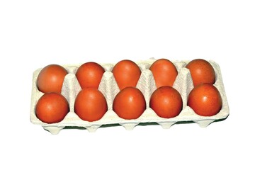 10 chicken eggs in a container on a white background