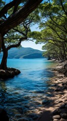 A secluded beach with crystal-clear turquoise waters
