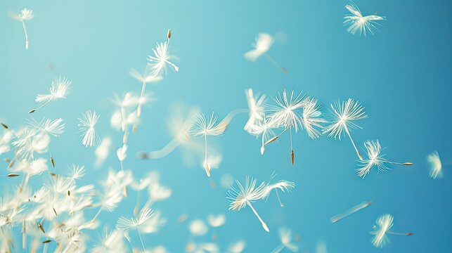 dynamic shot of dandelion seeds blowing in the wind against a vivid blue sky, conveying a sense of freedom and the whimsical beauty of nature.