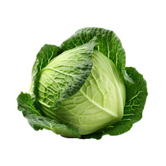 Obraz premium Cabage Isolated on transparent background