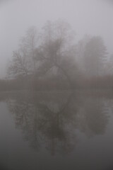 silhouette of trees reflecting in a lake on a foggy morning