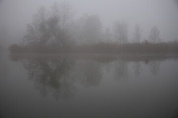 silhouette of trees reflecting in a lake on a foggy morning