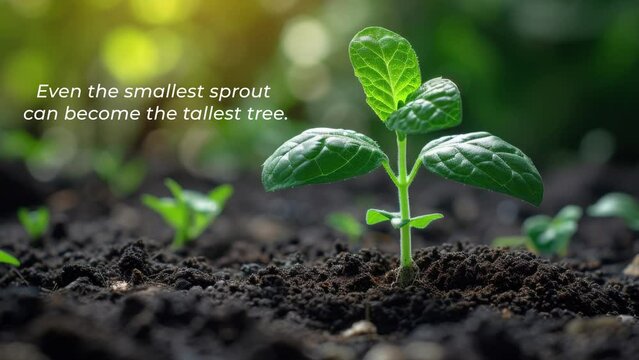 A young plant sprouting from rich soil with 'Even the Smallest Sprout Can Become the Tallest Tree' Text Animation, Motivational. Generative AI