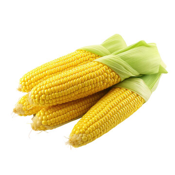 recommend clip art: Corncobs Isolated on transparent background