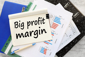 Big Profit Margins work desk blue folder blue financial charts. text on a notebook